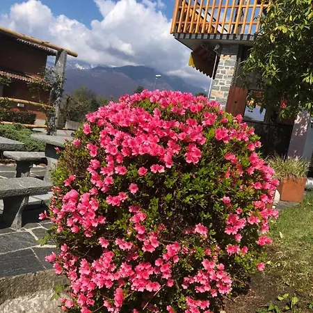 Bed & Breakfast Al Grottino Gambarogno